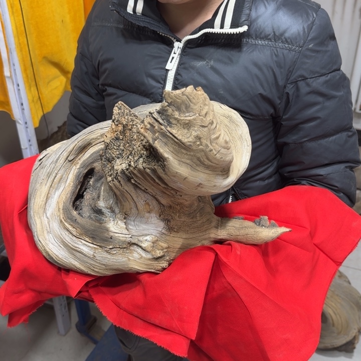 鸡***店香榧木客服18832259591