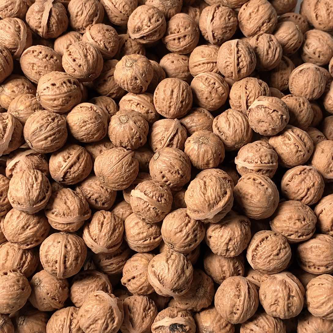 核桃手串/手链M*1定制款