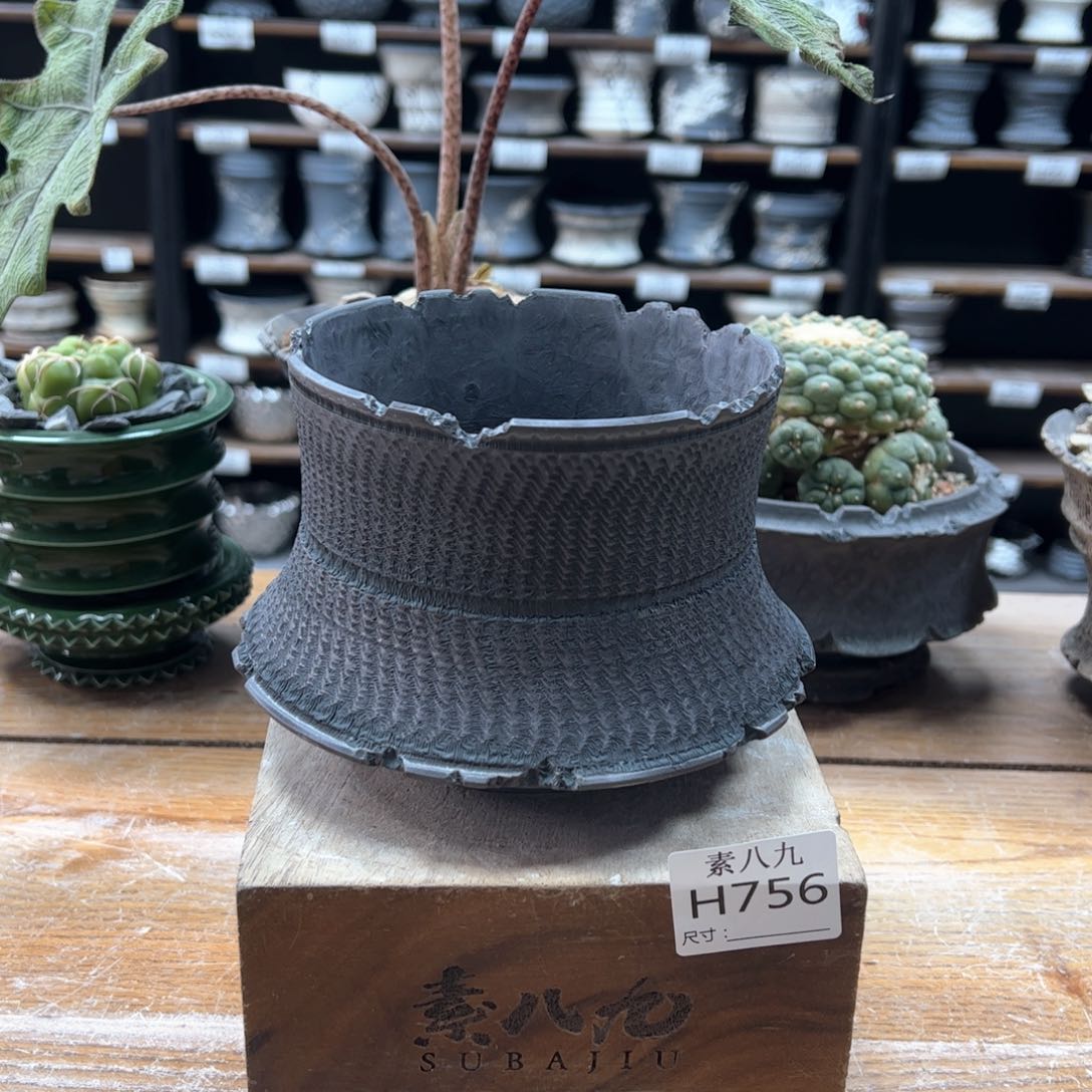 素八九陶瓷内口12.5高11