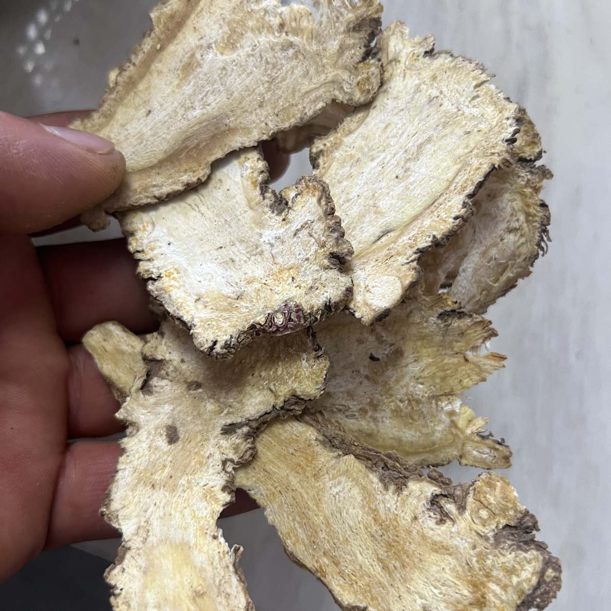 精选无硫当归头片可泡水煲汤搭配黄芪使用