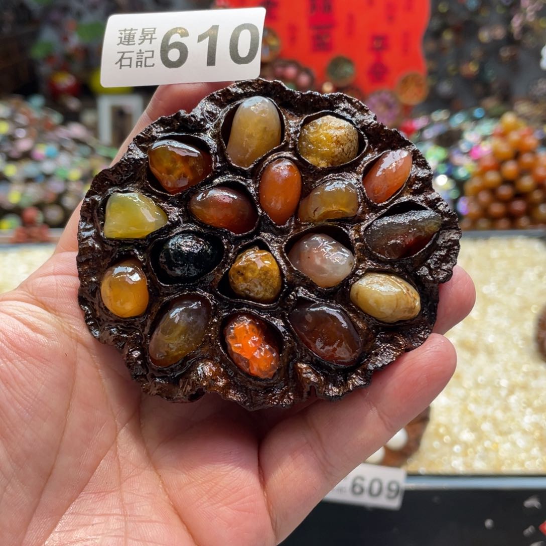 核桃木/黑胡桃（胡桃木）610