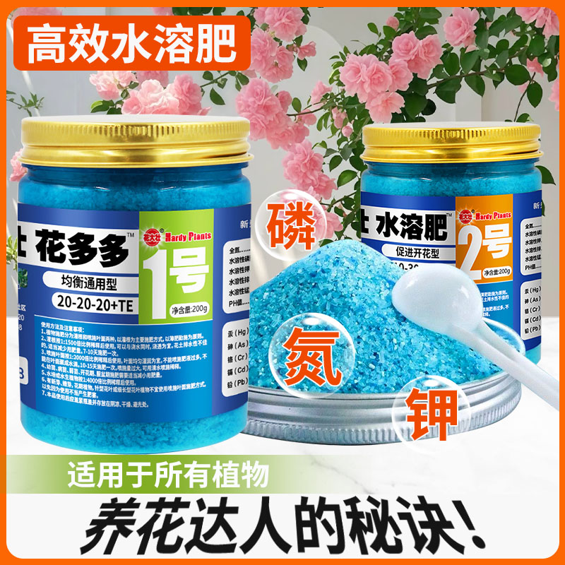 花大壮促花花卉月季绿植多肉家用微量元素栀子花花多多花多多2号