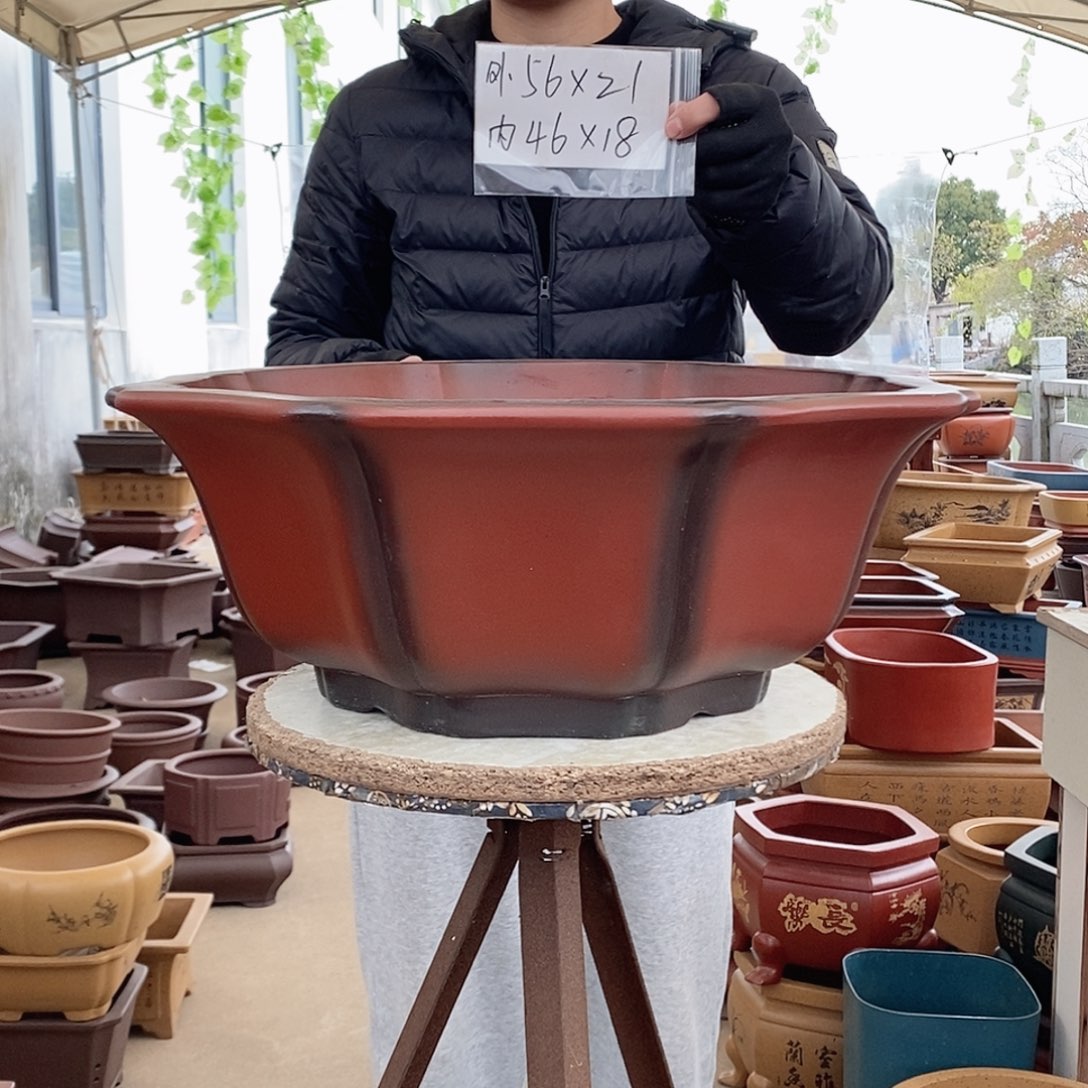 紫砂花盆紫砂花盆