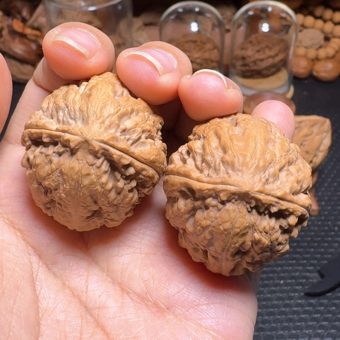 文玩核桃把件猴头菇