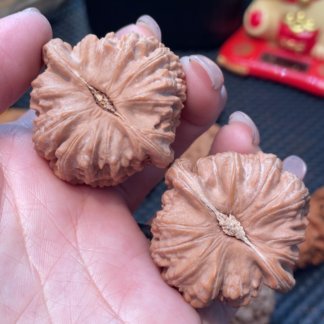 文玩核桃把件白狮子4.0全品