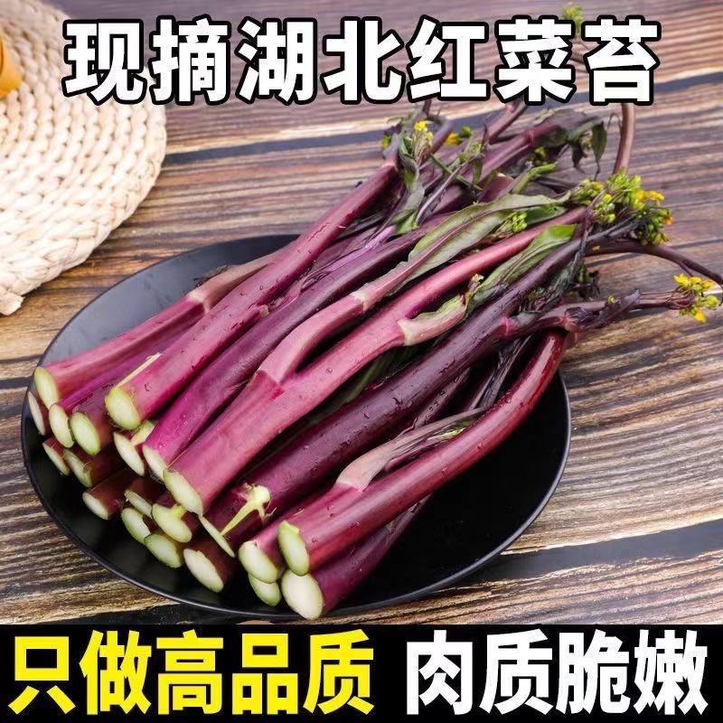 【坏损包赔】湖北打霜红菜薹农家自种露天种植现摘新鲜红菜苔