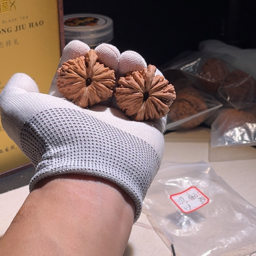 Y***N楼子扣子扣子 极品 