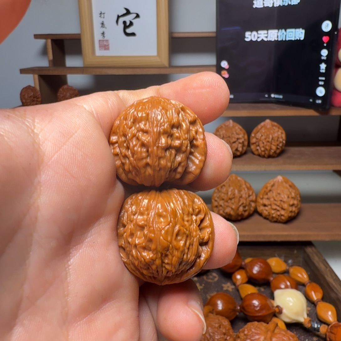 道哥俱乐部t会员2828白狮子29