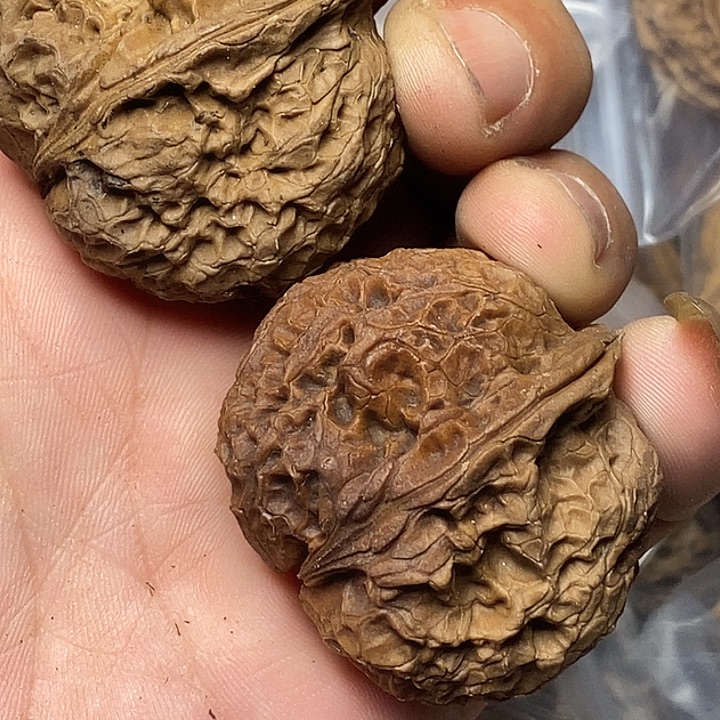 文玩核桃把件云南铁核桃120