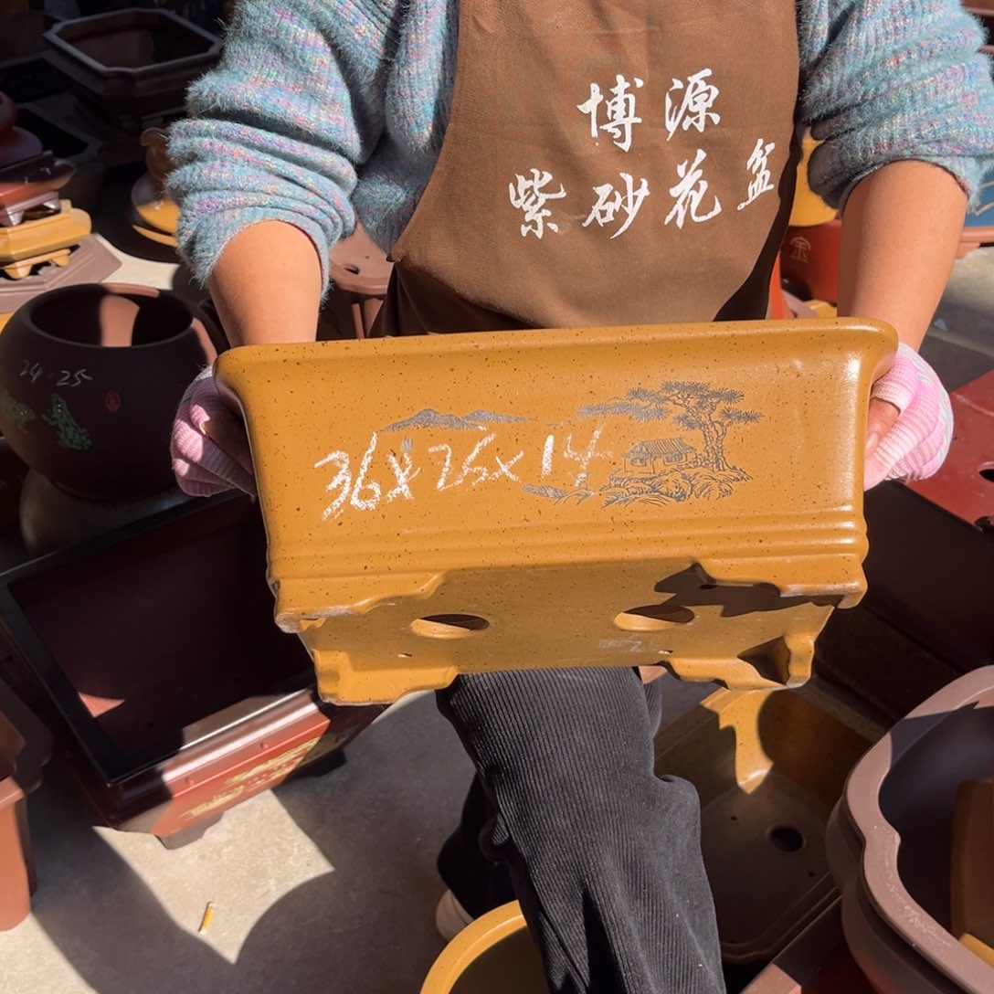 花盆紫砂盆景艺术