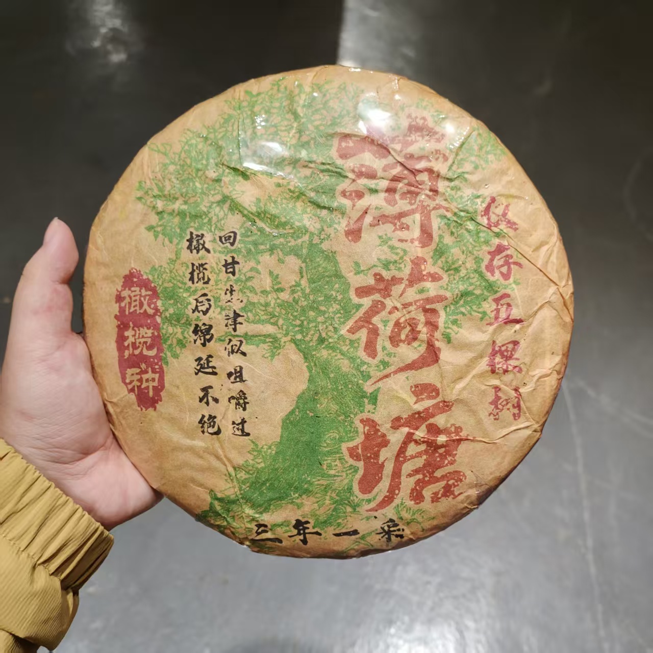 【飞哥开仓放漏】薄荷塘橄榄种饼（生茶）1000g