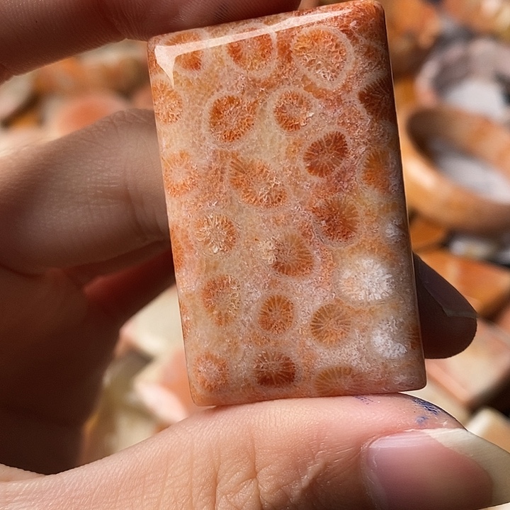 S***n硅化珊瑚未镶嵌颈饰