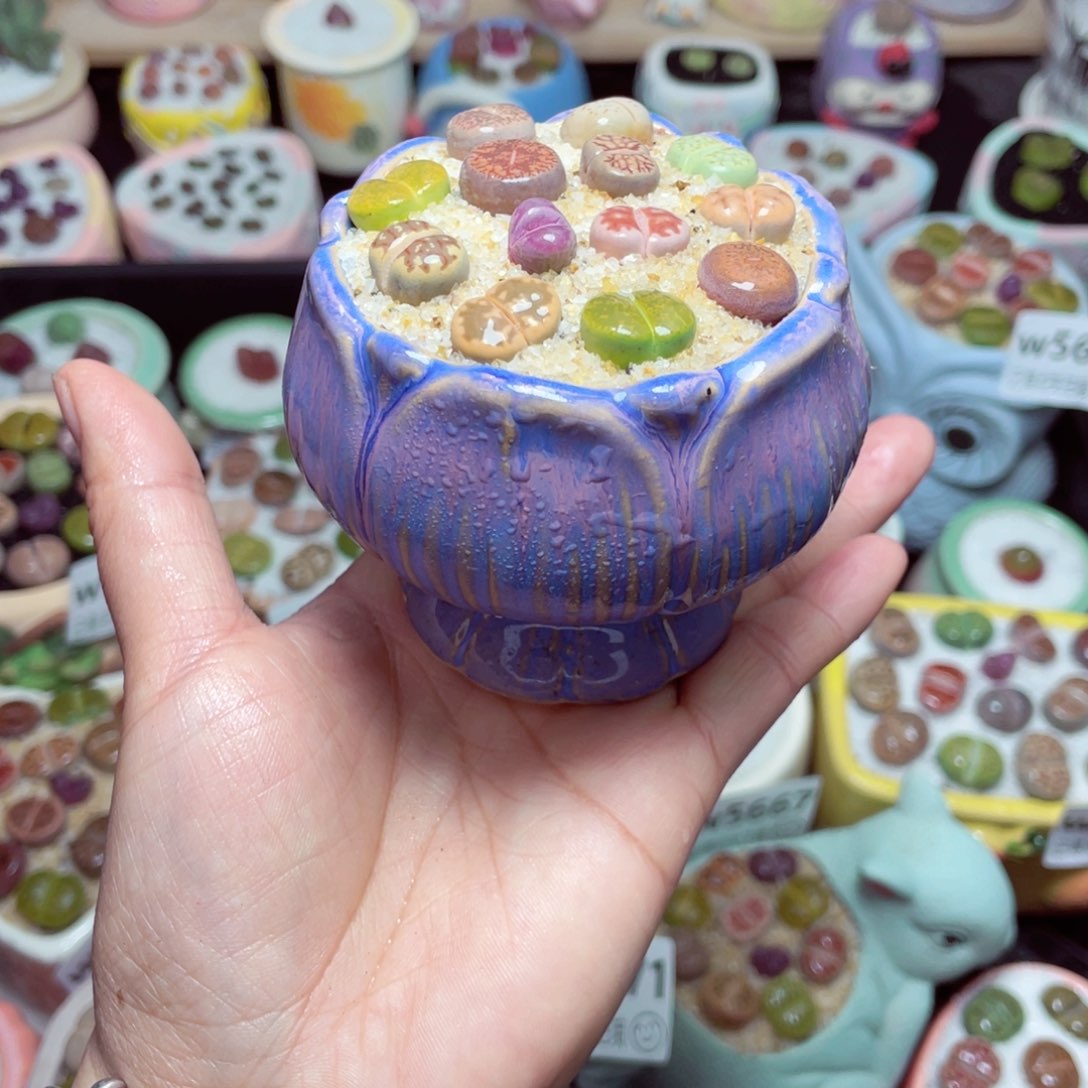 w5673 -零下地区拍保温箱-15支持寄养