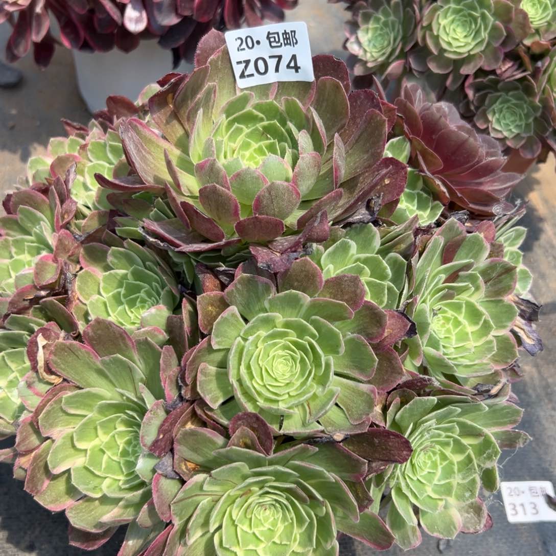 074万花筒，满20包邮