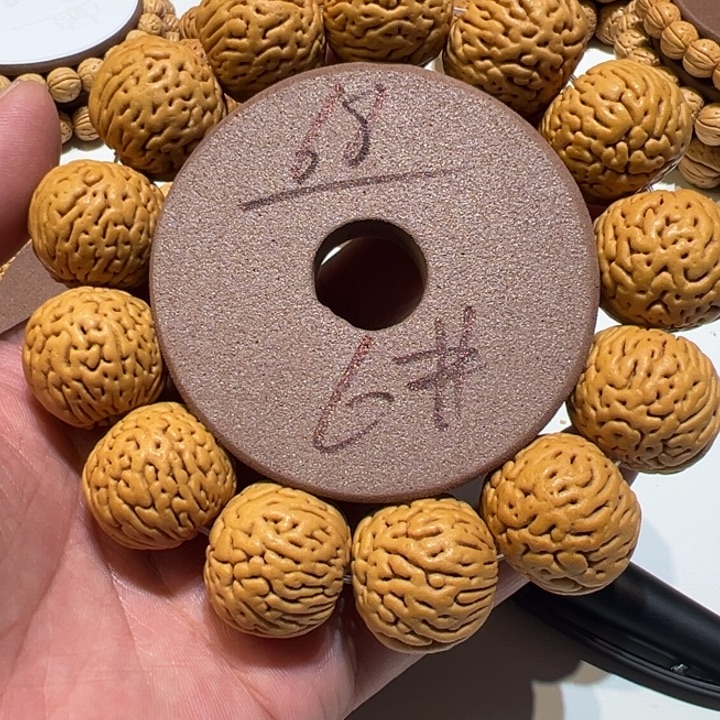 核桃桃核直播6号直播