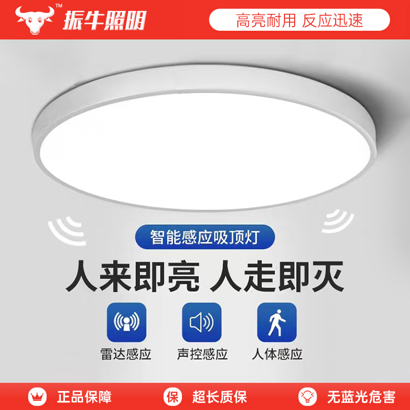 led感应吸顶灯声控楼梯楼道过道家用入户走廊雷达人体智能感应灯