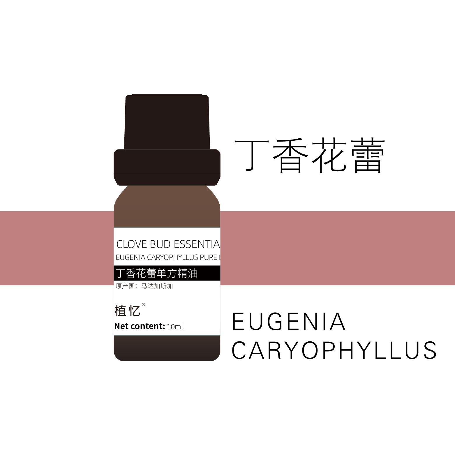 植忆丁香花蕾精油 马达加斯加 植物单方精油