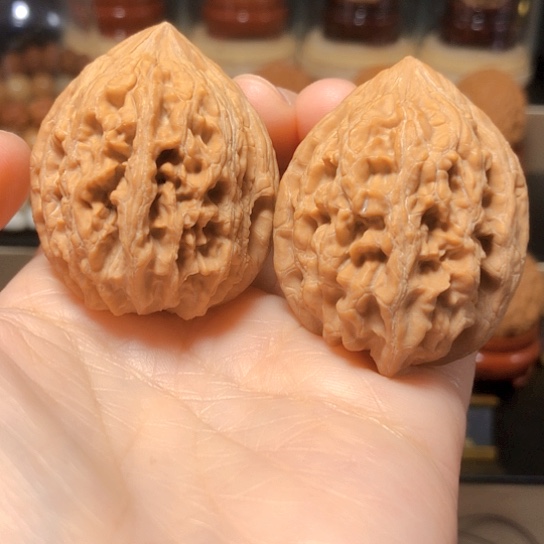 特价秒杀：大沽石38尺（强迫症勿拍）