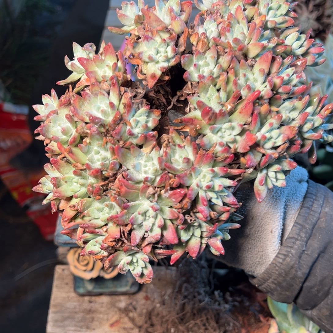 8484哈哈哈哈哈哈哈哈