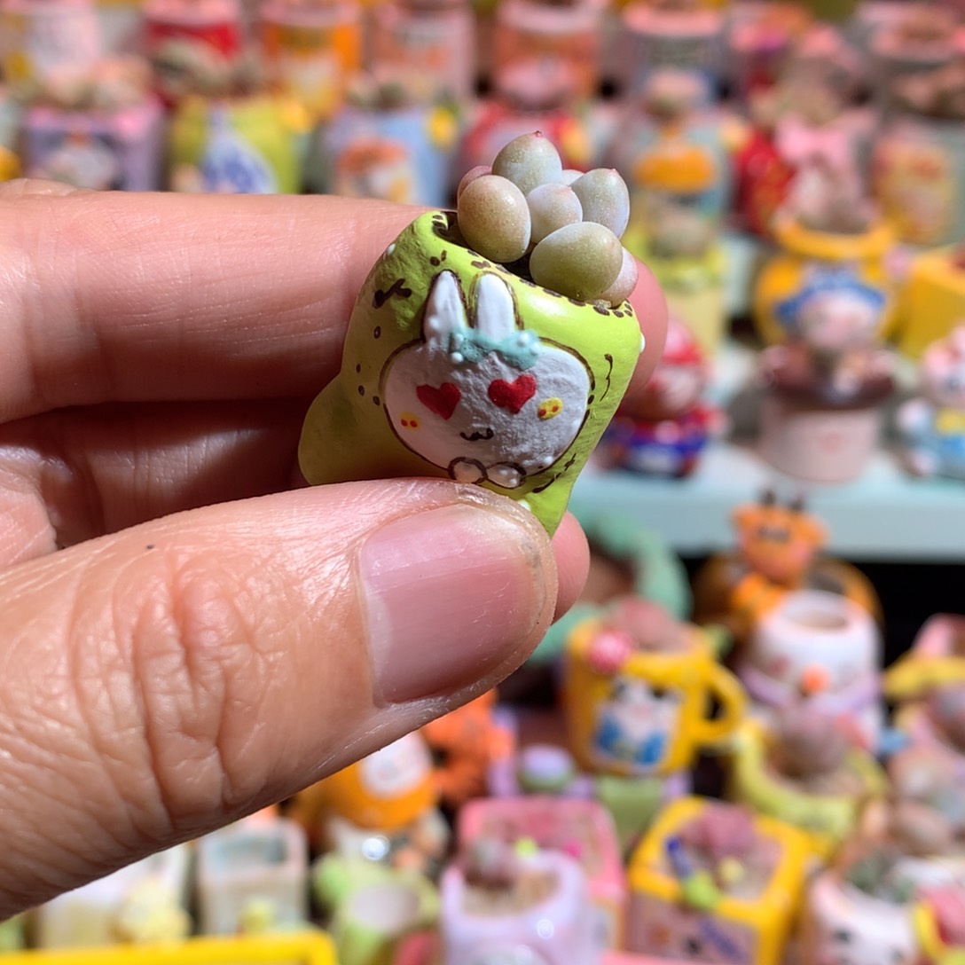 红陶彩虹奶带盆发货 满100包邮