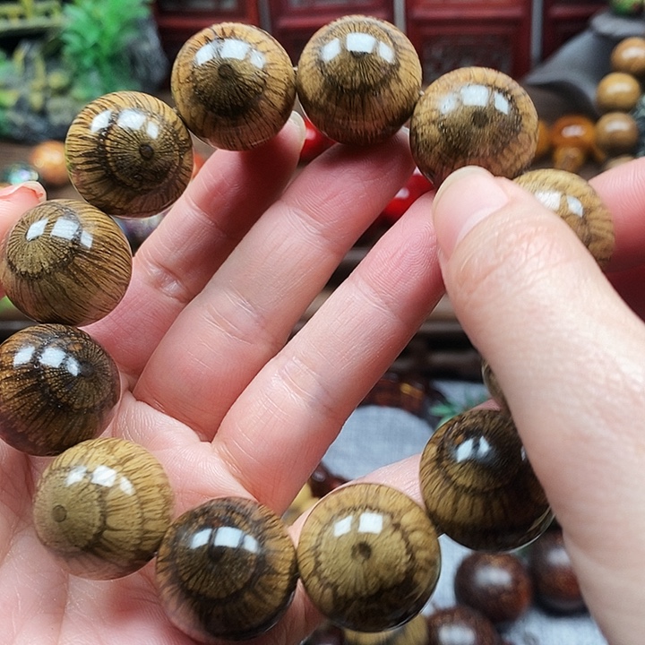 温***刀手串/手链藤类买麻藤