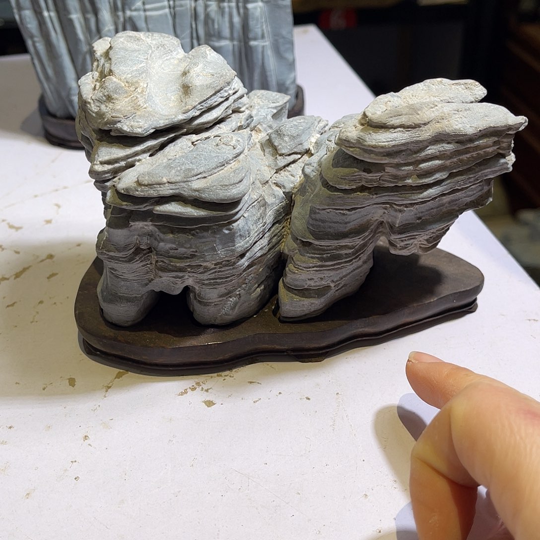 紫砂我们一起走巴走来吧