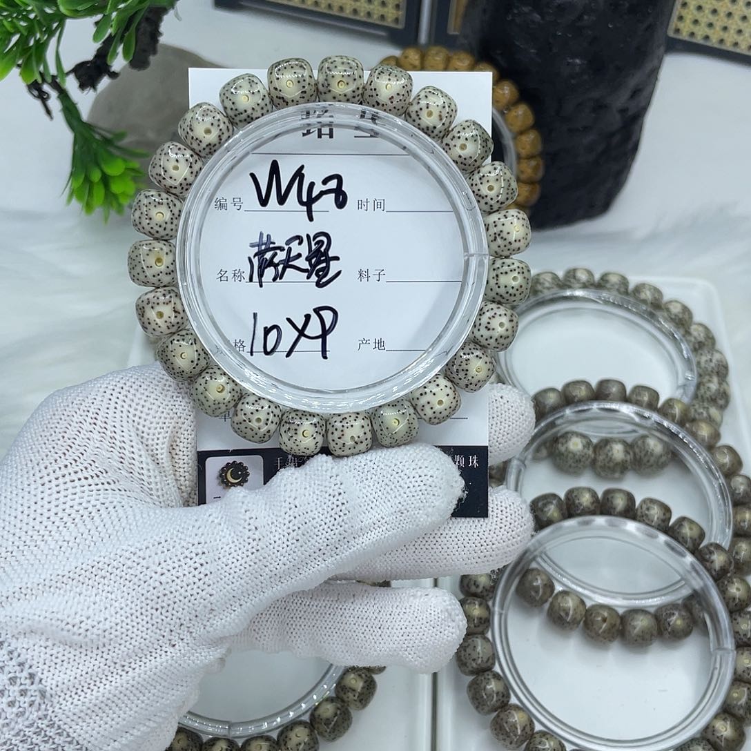 菩提籽类W48 满天星 10