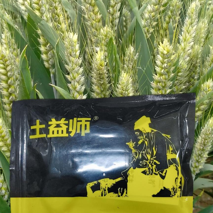 小麦一喷三防增产组合套防病除虫叶面肥