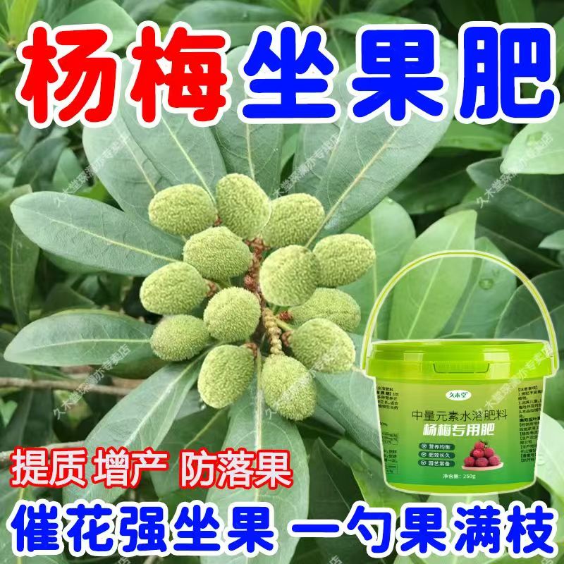 果树通用型杨梅催花，其它果树催花，颗粒缓释促进花苞肥料一瓶爆果
