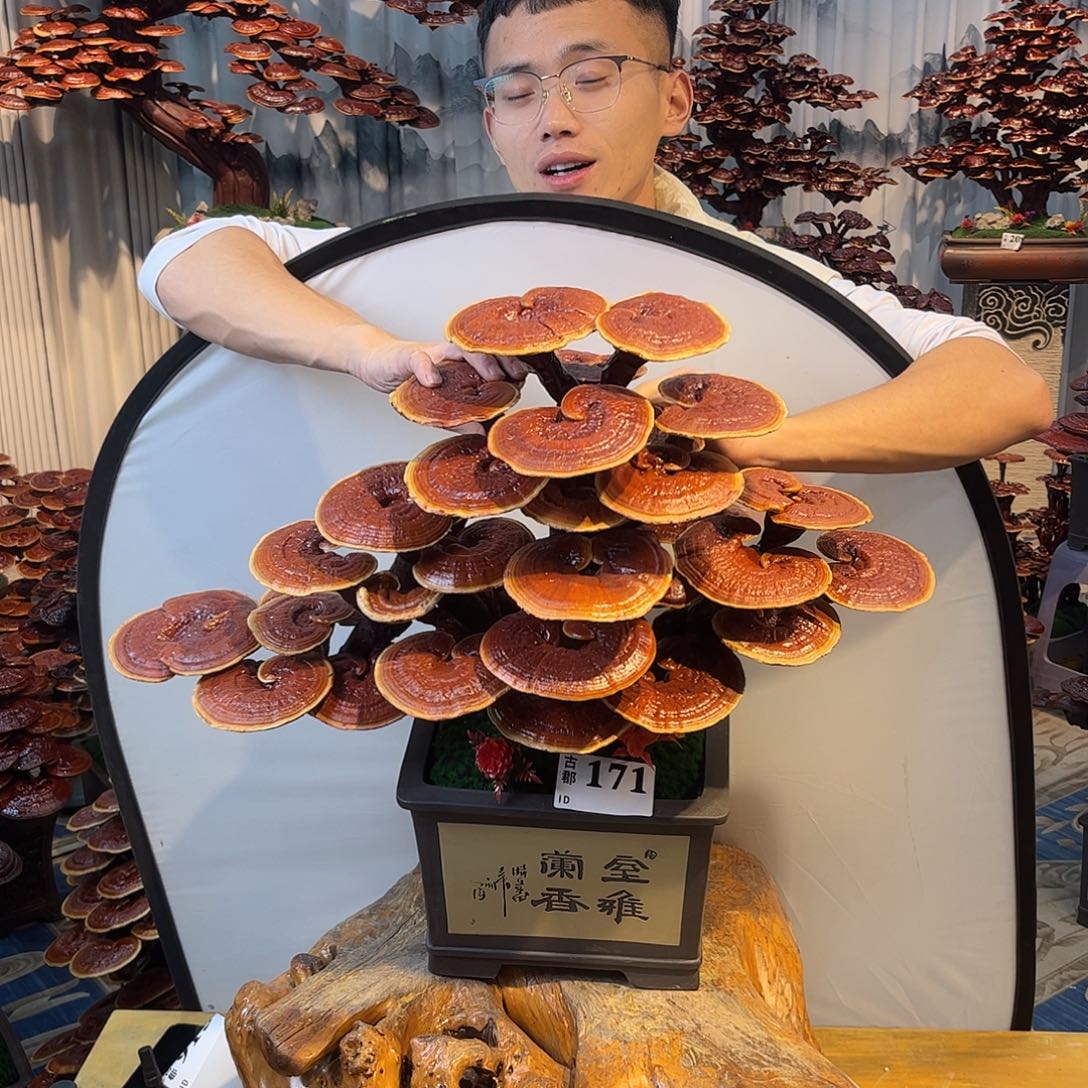 无花朵888888888888