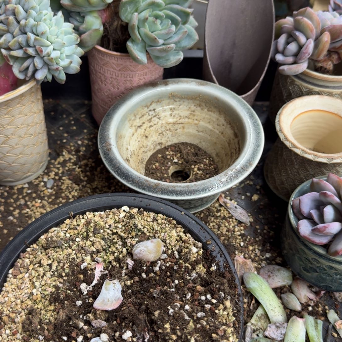 你***毛哈哈哈哈哈哈哈哈哈