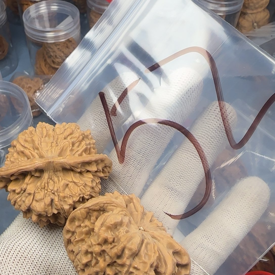 文玩核桃吊坠小*车核桃