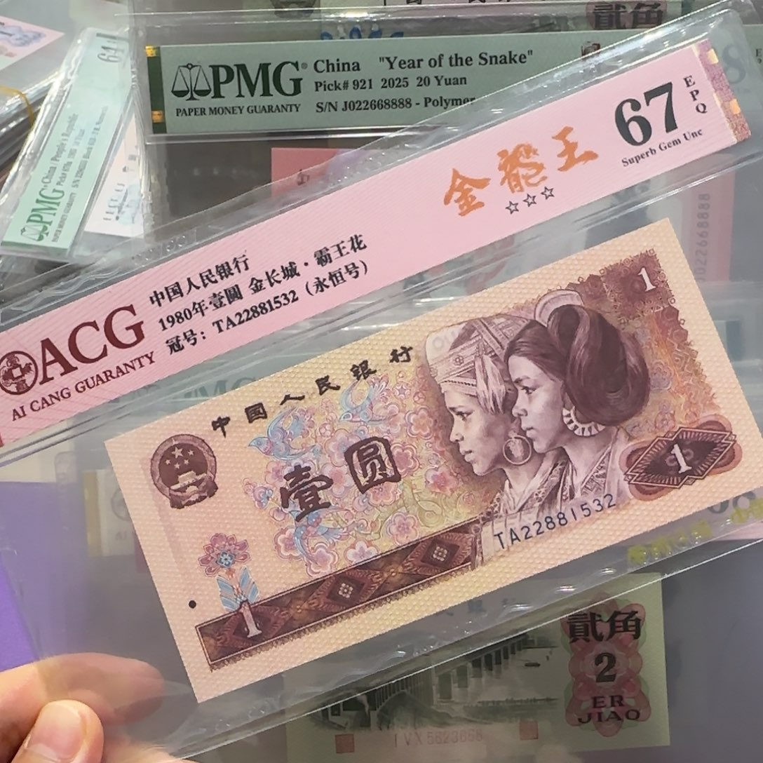 纸22881532。。。。金龙王