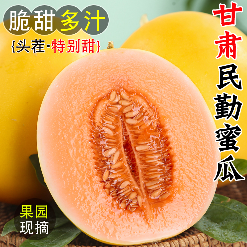 正宗甘肃民勤蜜瓜新鲜水果当季黄河黄金蜜瓜脆甜蜜香瓜哈密瓜时令