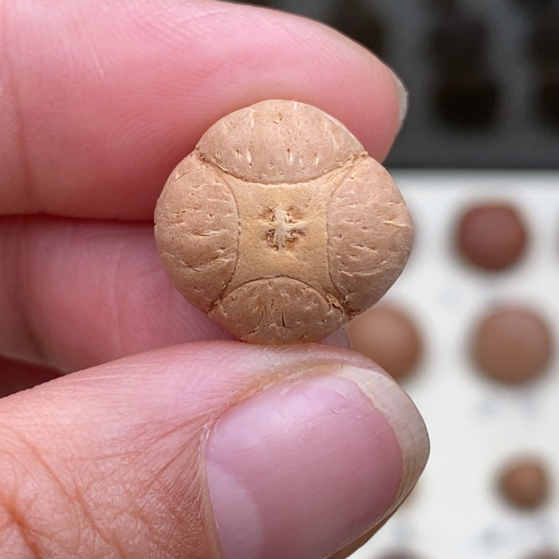 X***r凤眼菩提吊坠麒麟