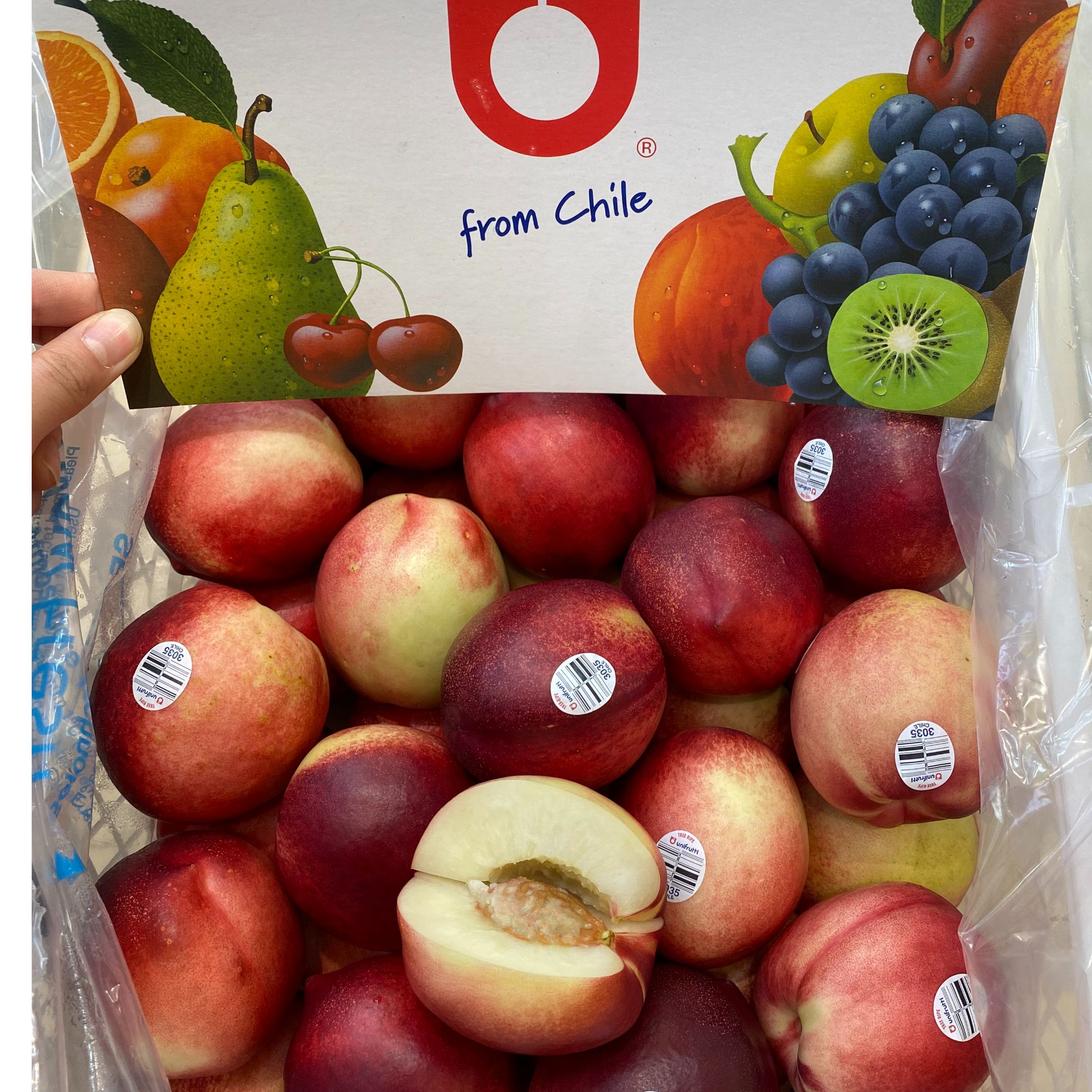 【顺丰包邮】进口白油桃 约4斤