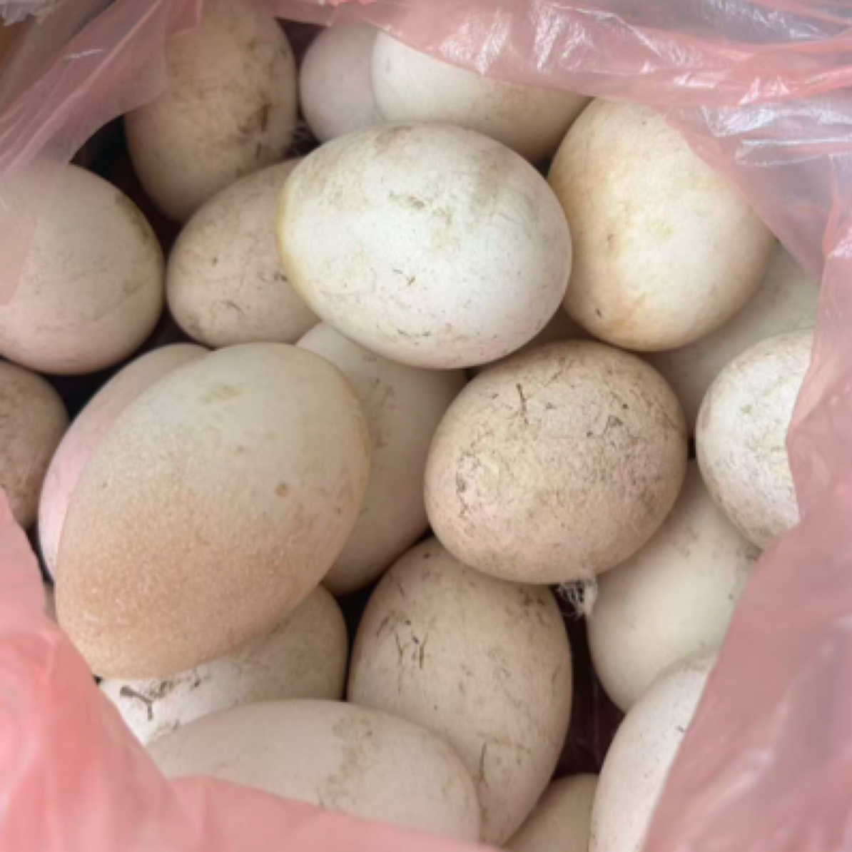 【达川助农】三星村土鹅蛋12个装