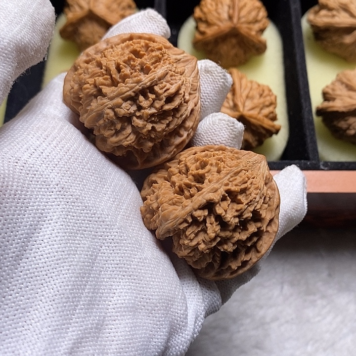 三***六满天星得得得得得41尺