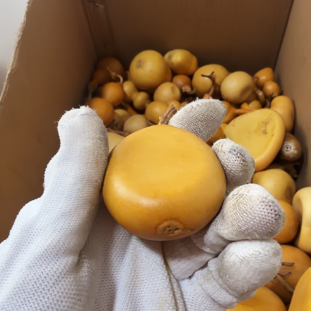 紫***愿请确认好在下单40