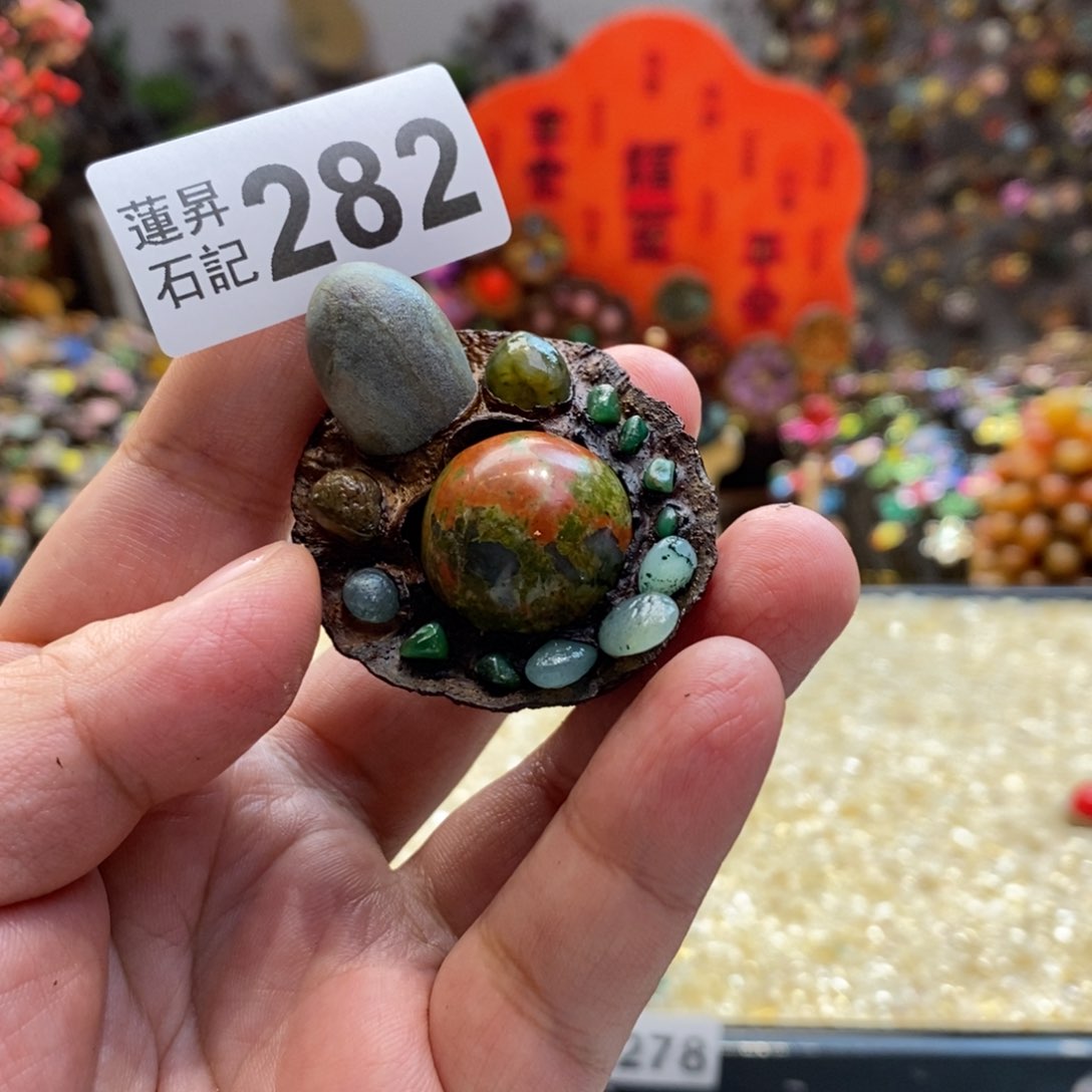 核桃木/黑胡桃（胡桃木）282小龟