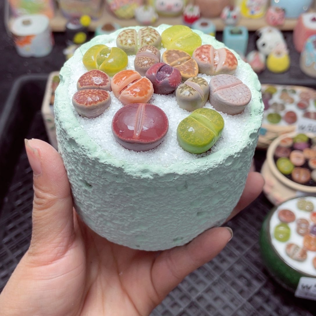 w5007 带盆土发货-零下地区拍保温箱