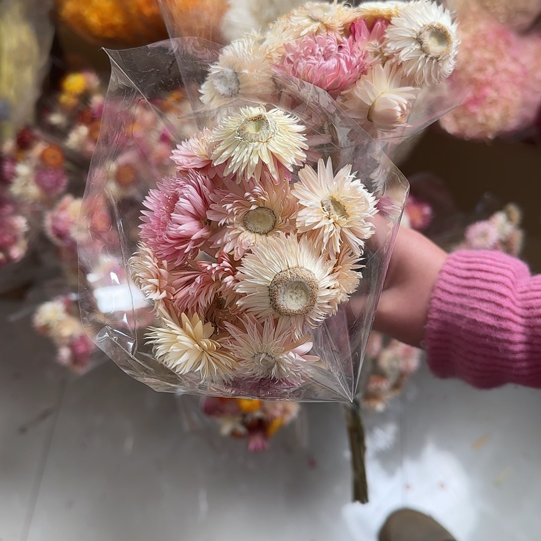 F17号2把麦杆菊20枝