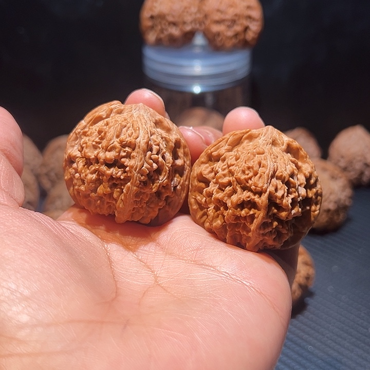 核桃全品无修40矮桩满天星