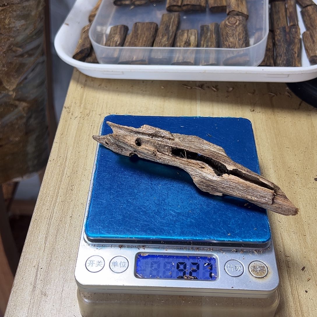 香料绿奇楠张勺子虫漏9克