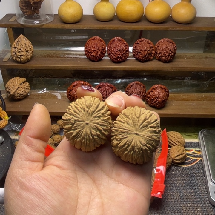 核桃猴头全品39.34.31