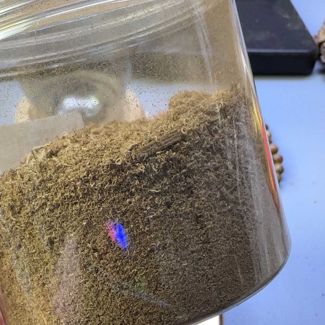 沉香沉香碎屑菩萨奇粉30克