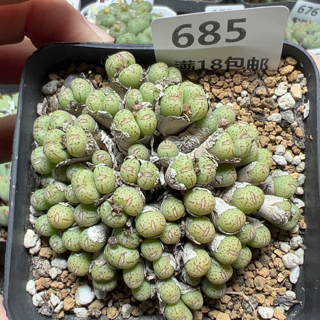 【闪购商品】685……