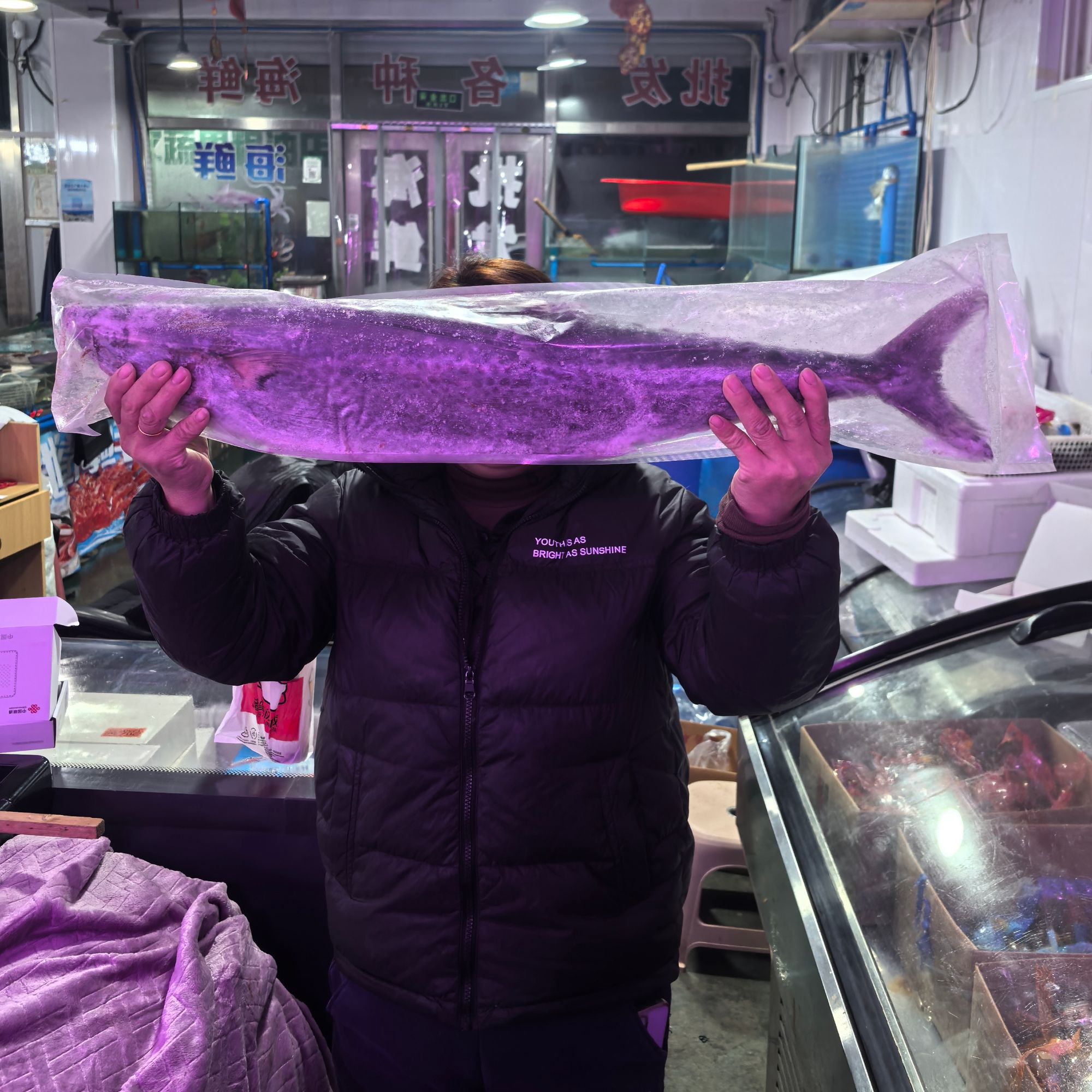 大连渤海湾大鲅鱼【现场称秤改价】新鲜个别有破肚，顺丰包邮