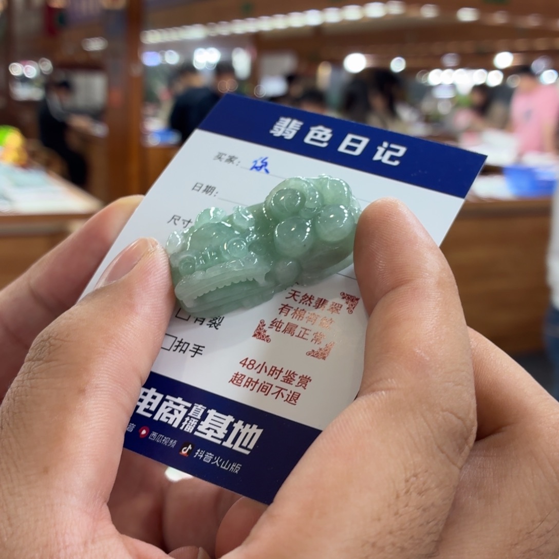 你***好翡翠未镶嵌颈饰貔貅