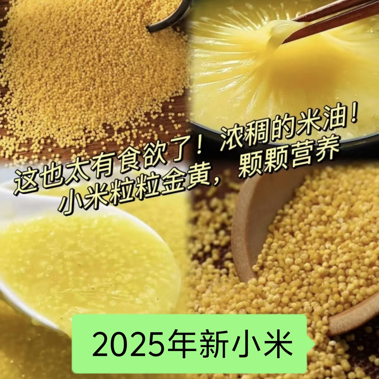 2025年沂蒙山新小米春小米